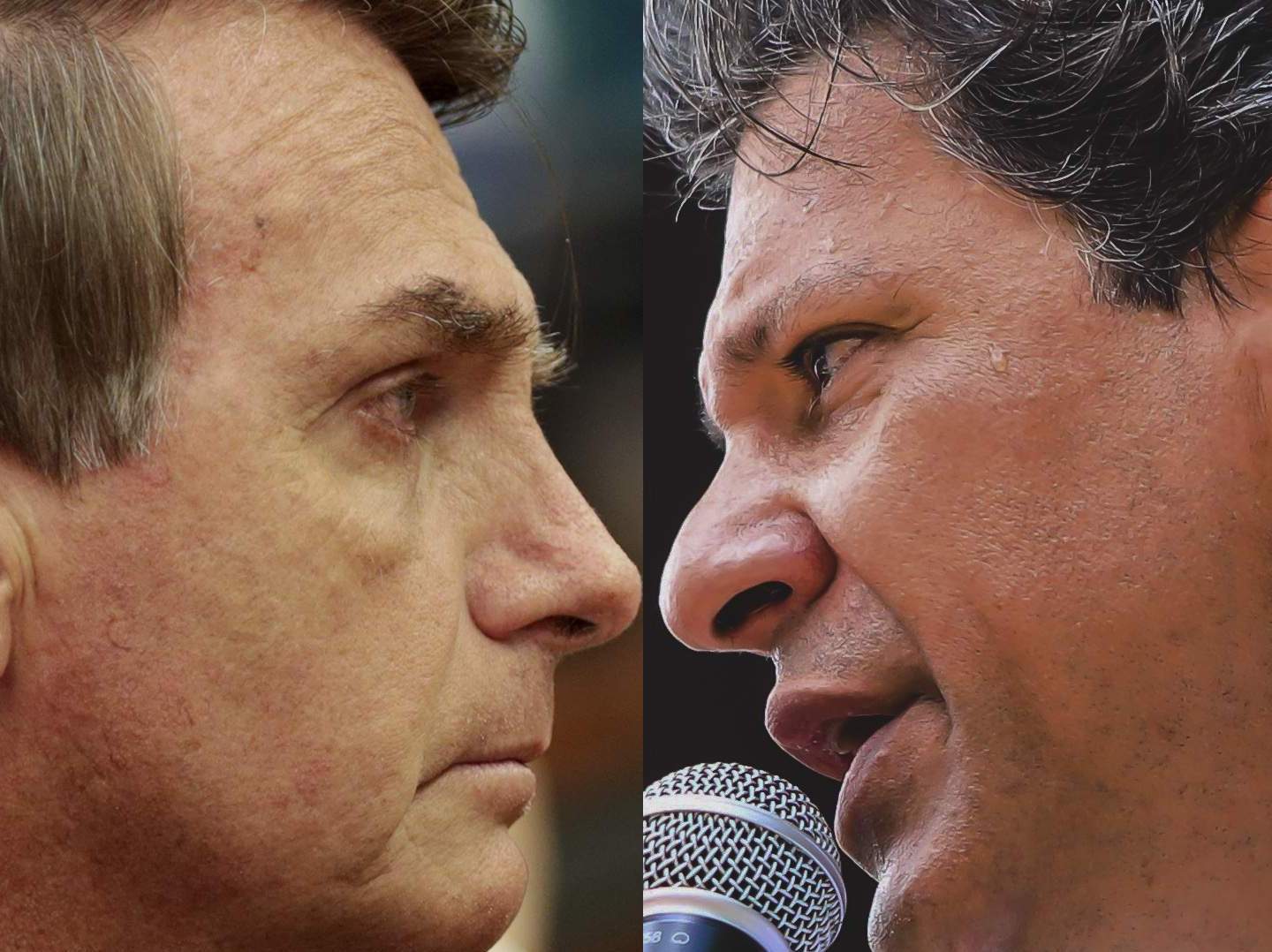 bolsonaro e haddad