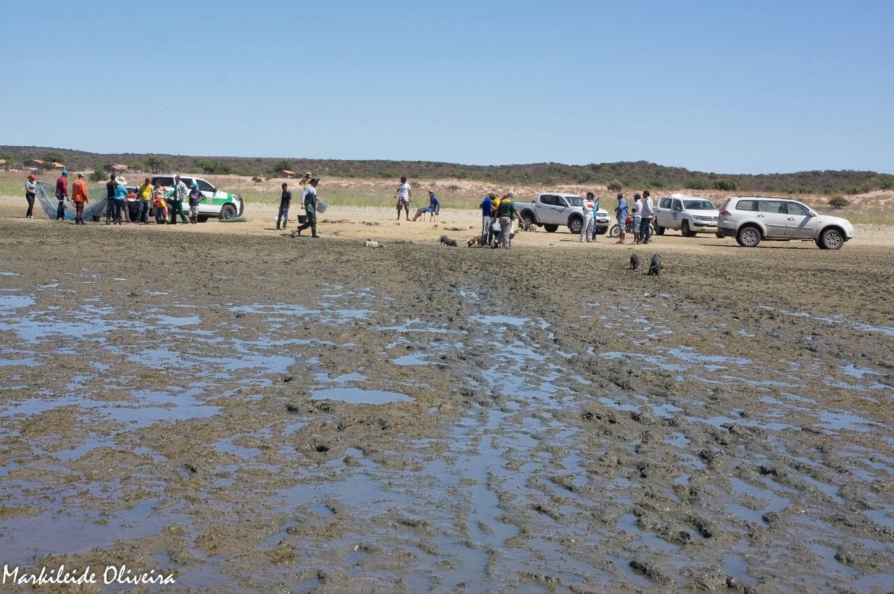 codevasf-participa-de-ao-que-garante-sobrevivncia-de-cerca-de-120-mil-peixes-nativos-no-mdio-so-francisco-baiano_45334225934_o