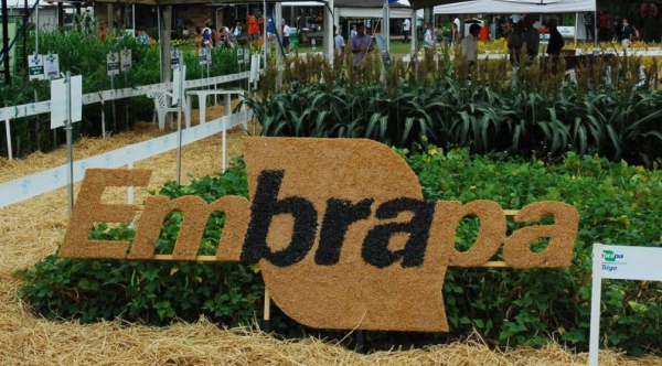 noticia_409204_img1_embrapa-e1512312088103
