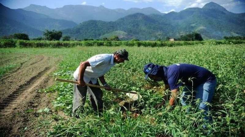 agricultura-familiar-11-3-19-agencia-brasil