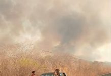 Incêndio criminoso de grandes proporções atinge a zona rural de Sítio do Mato