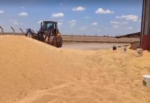 Trabalhador morre soterrado e outro fica ferido em silo de fazenda no oeste da Bahia