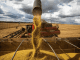 Oeste da Bahia tem seis municípios entre os 50 maiores produtores agrícolas do Brasil