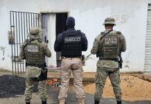 MP-BA realiza operaçõa contra grupo de tráfico de drogas e armas no oeste da Bahia