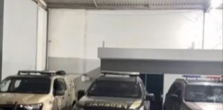 Polícia apreende 186 kg de maconha em operação conjunta na BR-135, no oeste da Bahia