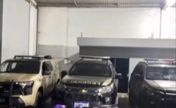 Polícia apreende 186 kg de maconha em operação conjunta na BR-135, no oeste da Bahia