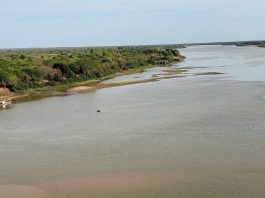 Nível do Rio São Francisco atinge marca mais baixa do ano em Bom Jesus da Lapa