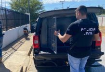 Polícia Civil prende em Bom Jesus da Lapa suspeito de assassinar adolescente e deixar dois feridos em Serra do Ramalho