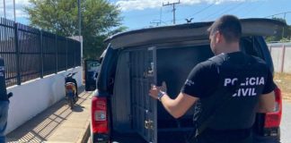 Polícia Civil prende em Bom Jesus da Lapa suspeito de assassinar adolescente e deixar dois feridos em Serra do Ramalho