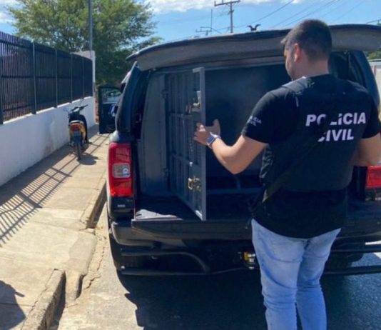 Polícia Civil cumpre mandado de prisão preventiva por estupro de vulnerável em Bom Jesus da Lapa