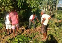 Justiça autoriza desapropriação de fazenda em Bom Jesus da Lapa para regularizar território quilombola Lagoa dos Peixes