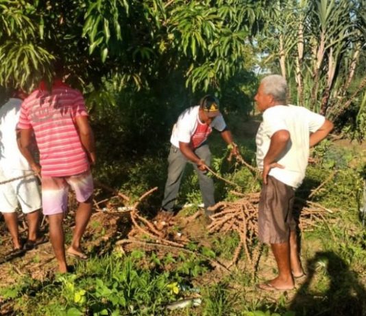 Justiça autoriza desapropriação de fazenda em Bom Jesus da Lapa para regularizar território quilombola Lagoa dos Peixes