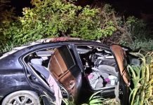 Colisão com animal solto deixa quatro feridos na BR-349, em São Félix do Coribe