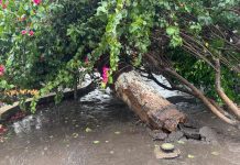 Temporal com ventos fortes causa estragos em Ibotirama