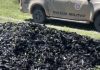 Polícia Ambiental desarticula produção ilegal de carvão e destrói 24 fornos em Morpará