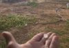 Chuva de granizo surpreende moradores da zona rural de Bom Jesus da Lapa