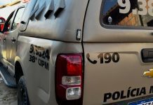 Polícia Militar prende suspeito de homicídio em Feira da Mata