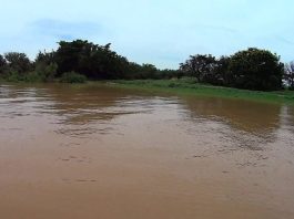 Corpo de homem desaparecido é encontrado no Rio São Francisco em Bom Jesus da Lapa