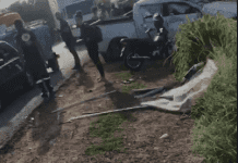 Mãe e filha morrem em grave acidente entre veículos no entroncamento da BA-160 com a BR-030