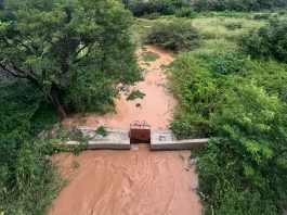 Com o aumento do nível do Rio São Francisco acima dos 6 metros, Lagoa da Lapa começa a receber água