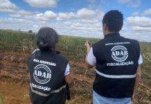 Adab abre concurso com 200 vagas e salários que podem chegar a R$ 7,4 mil