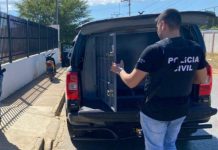 Idoso é preso acusado de abuso sexual contra afilhada de 6 anos em Bom Jesus da Lapa