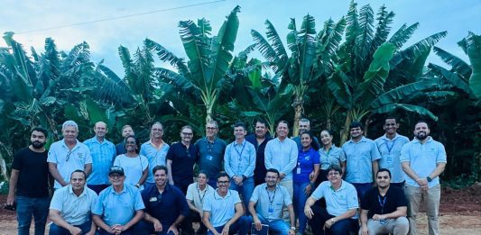 Banana de Bom Jesus da Lapa tem Indicação Geográfica apresentada oficialmente a produtores no Projeto Formoso