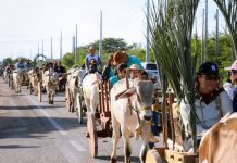 2ª Romaria dos Carreiros reúne fé e tradição no Santuário do Bom Jesus da Lapa