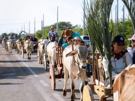 2ª Romaria dos Carreiros reúne fé e tradição no Santuário do Bom Jesus da Lapa