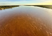 Rio São Francisco volta a subir e atinge 7 metros em Bom Jesus da Lapa