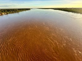 Rio São Francisco volta a subir e atinge 7 metros em Bom Jesus da Lapa