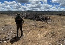 Ação ambiental flagra supressão de 25 hectares e forno clandestino em Serra do Ramalho