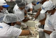 Capacitação em processamento de pescado forma novos profissionais em Bom Jesus da Lapa