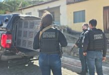 Operação da Polícia Civil prende dois investigados por crimes patrimoniais em Morpará