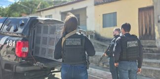 Operação da Polícia Civil prende dois investigados por crimes patrimoniais em Morpará