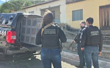 Operação da Polícia Civil prende dois investigados por crimes patrimoniais em Morpará