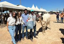 Vaca jovem de Sebastião Laranjeiras ganha prêmio em Guanambi após produzir mais de 40 quilos de leite