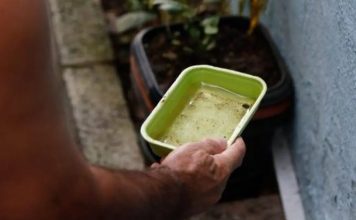 Santa Maria da Vitória entra em alerta para epidemia de dengue após dados da Sesab
