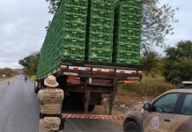 Carga de aves com irregularidades é apreendida na BR-349 em São Félix do Coribe
