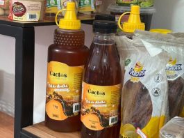 Inauguração do Cesol Velho Chico amplia apoio à economia solidária na região de Bom Jesus da Lapa
