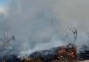 Mais uma queimada em terrenos baldios no bairro São João revolta moradores em Bom Jesus da Lapa