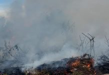 Mais uma queimada em terrenos baldios no bairro São João revolta moradores em Bom Jesus da Lapa