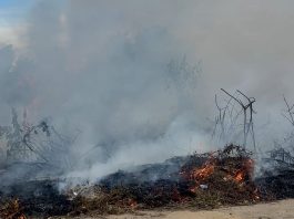 Mais uma queimada em terrenos baldios no bairro São João revolta moradores em Bom Jesus da Lapa