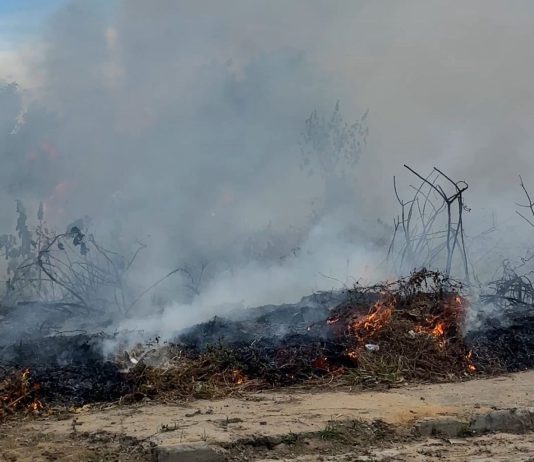 Mais uma queimada em terrenos baldios no bairro São João revolta moradores em Bom Jesus da Lapa