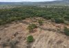 Municípios do oeste da Bahia aparecem entre os que mais desmataram no Brasil, aponta MapBiomas