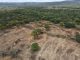 Municípios do oeste da Bahia aparecem entre os que mais desmataram no Brasil, aponta MapBiomas