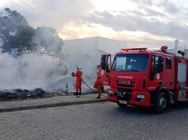 Crianças soltando bombinhas provocam incêndio em terreno baldio em Bom Jesus da Lapa