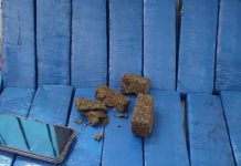 Passageiro é preso com mais de 14 quilos de maconha durante fiscalização em ônibus na BR-030
