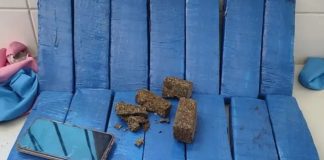 Passageiro é preso com mais de 14 quilos de maconha durante fiscalização em ônibus na BR-030