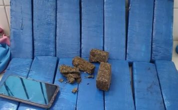 Passageiro é preso com mais de 14 quilos de maconha durante fiscalização em ônibus na BR-030